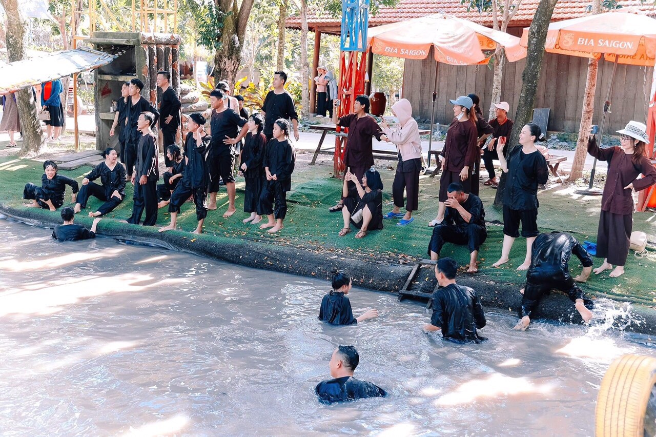 lĩnh vực hoạt động